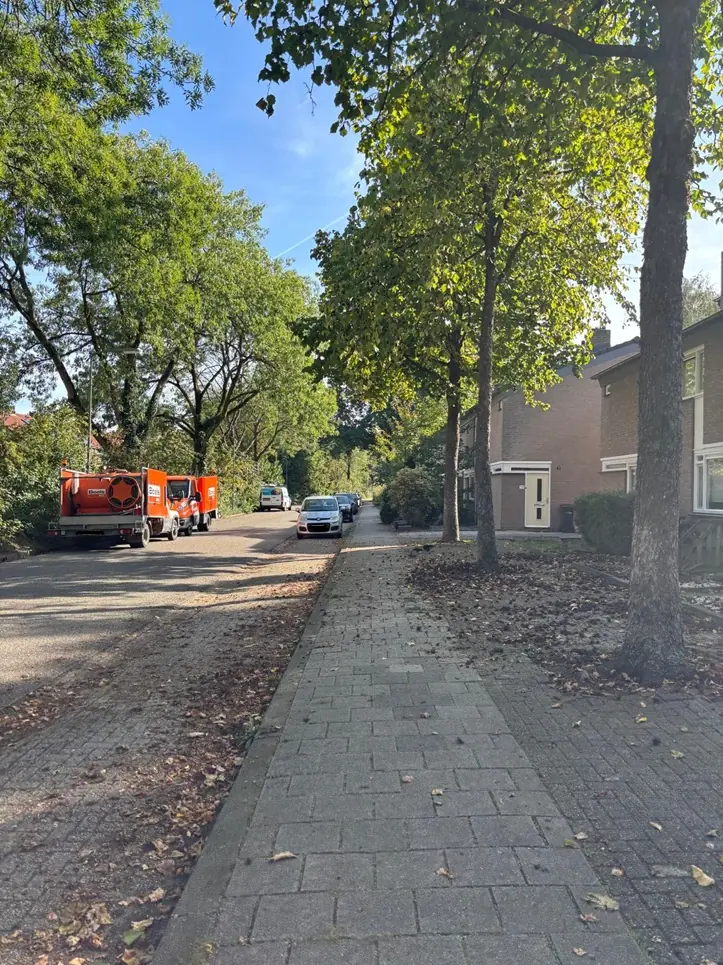 Afbeelding 5 van 6