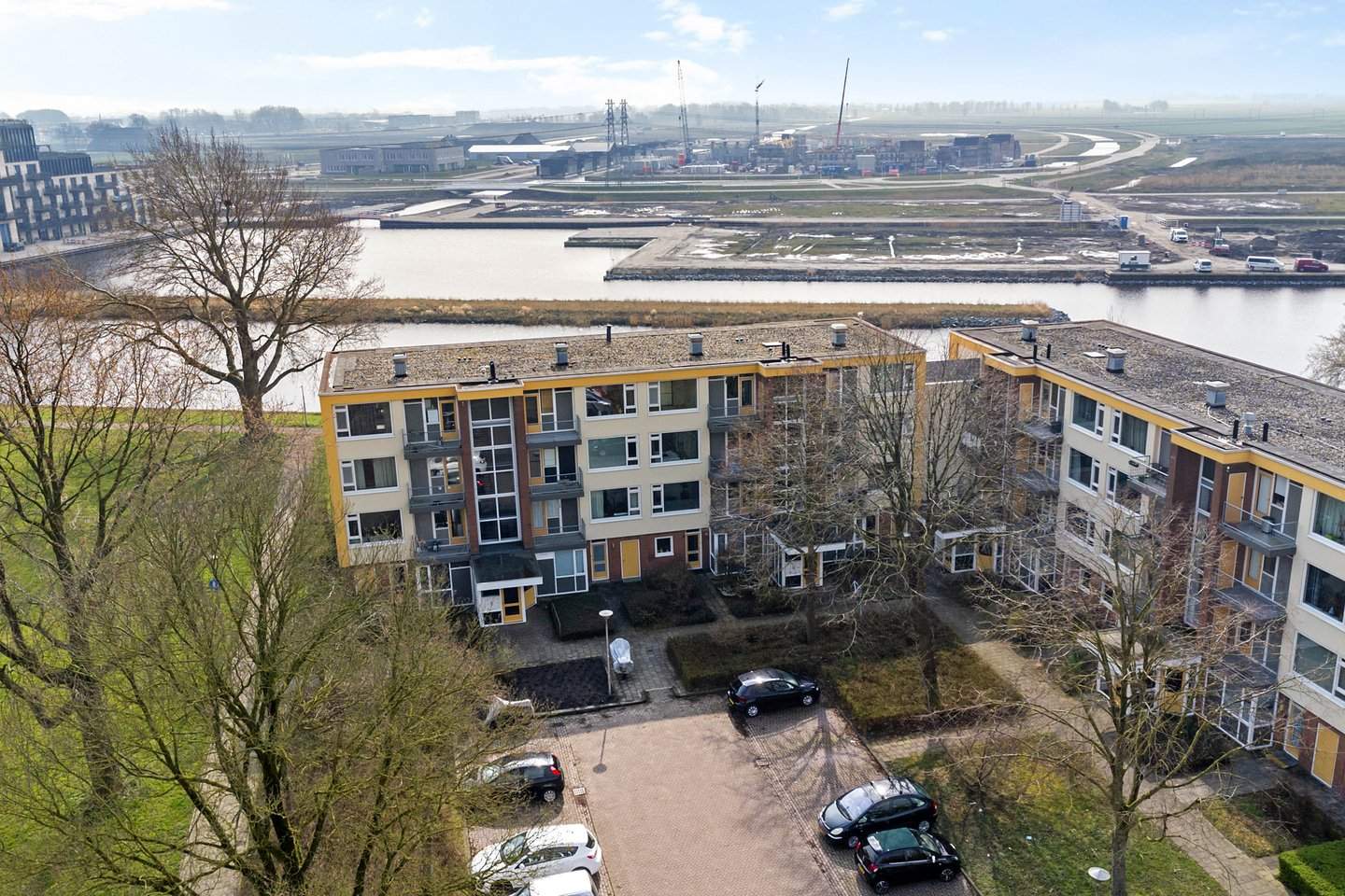Afbeelding 3 van 12