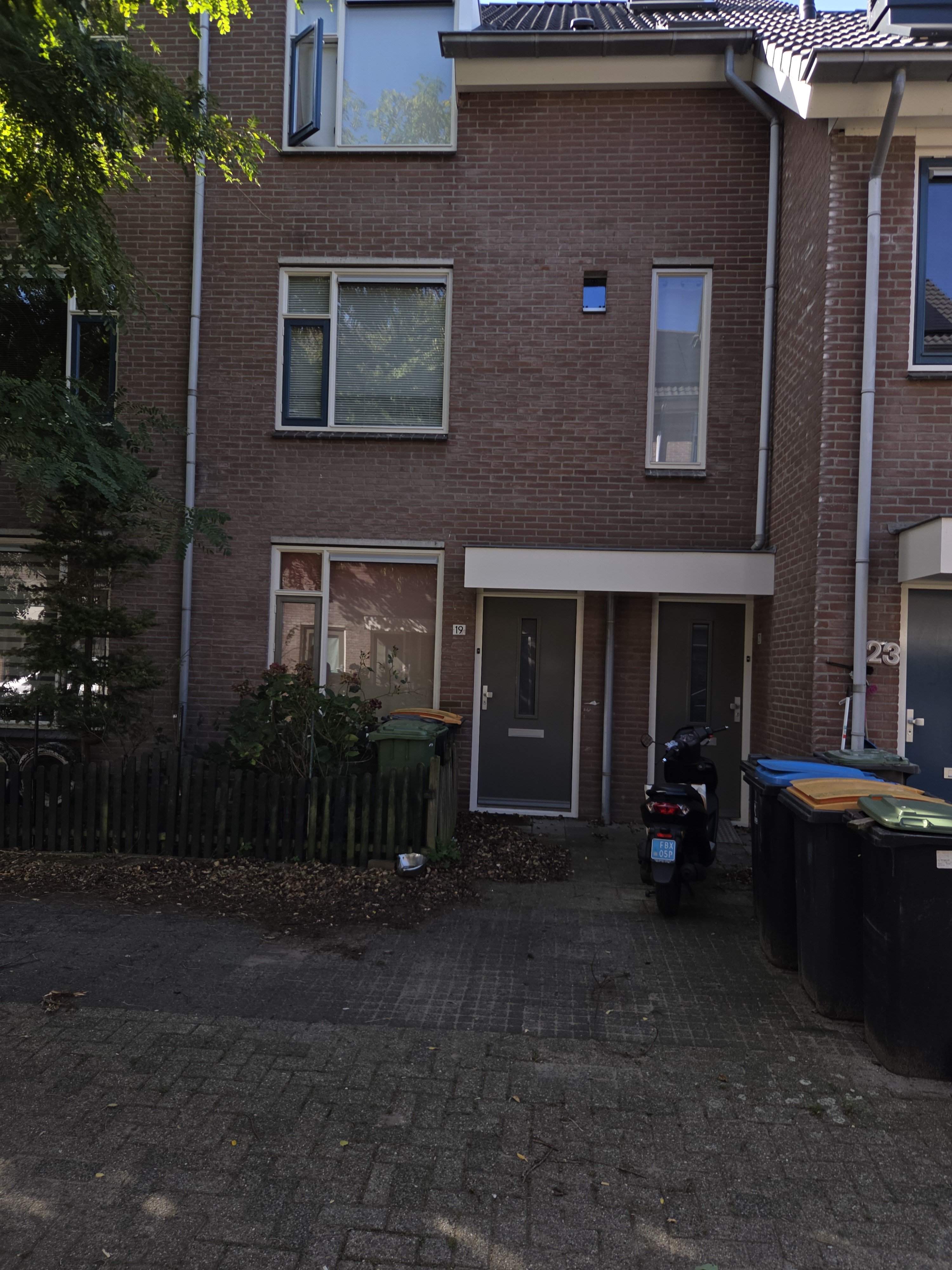 Afbeelding 1 van 12