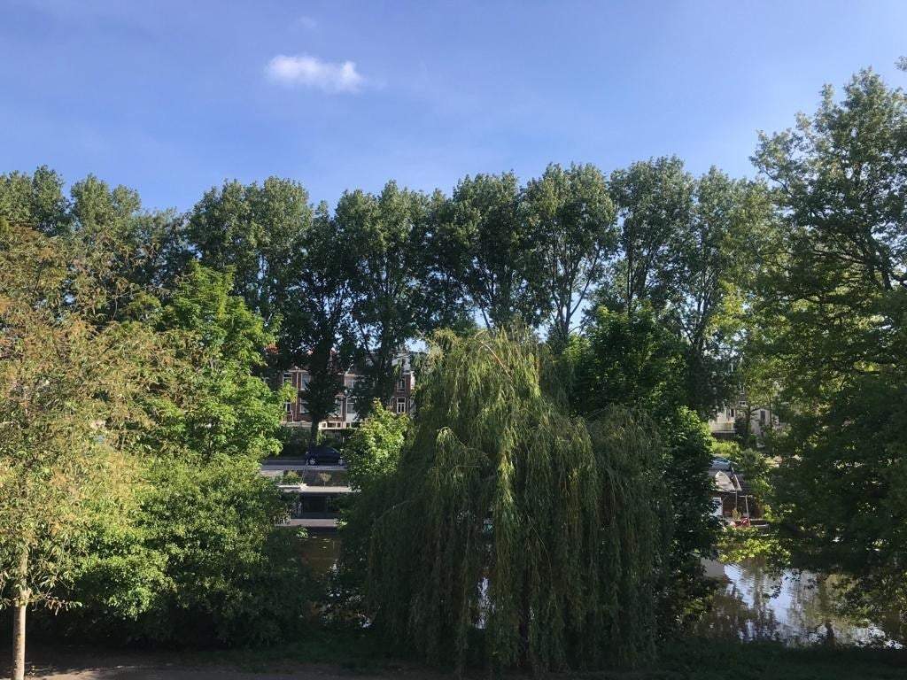 Image 17 of 23