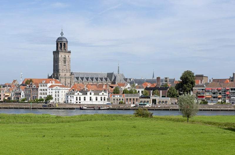 Afbeelding 3 van 15