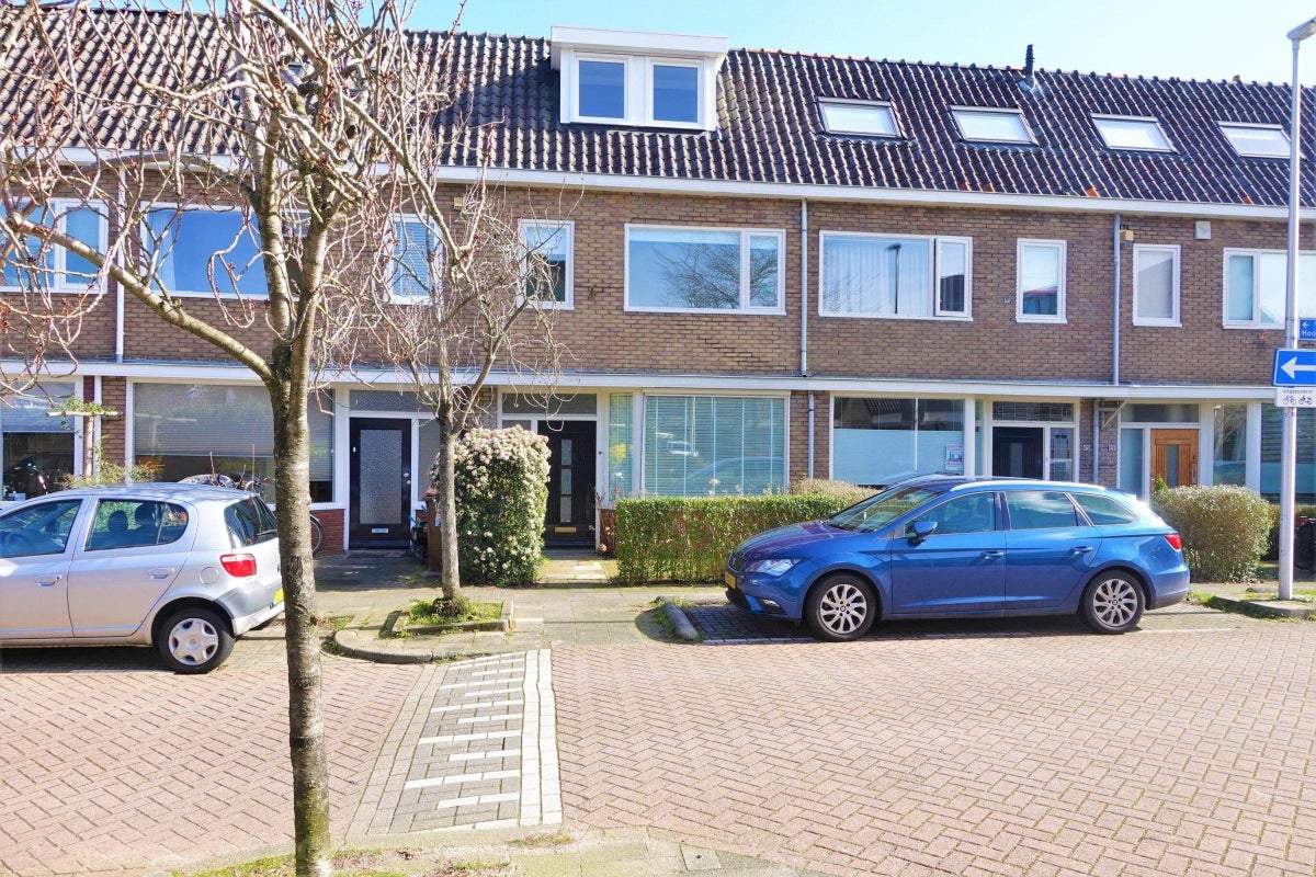 Afbeelding 1 van 38
