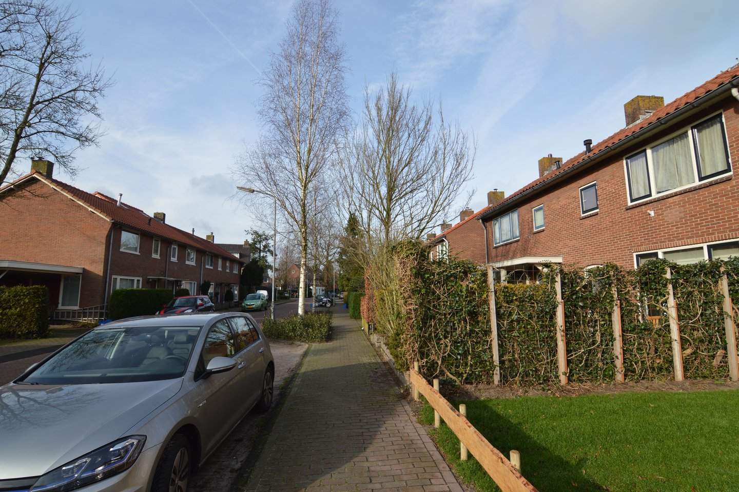 Afbeelding 3 van 12