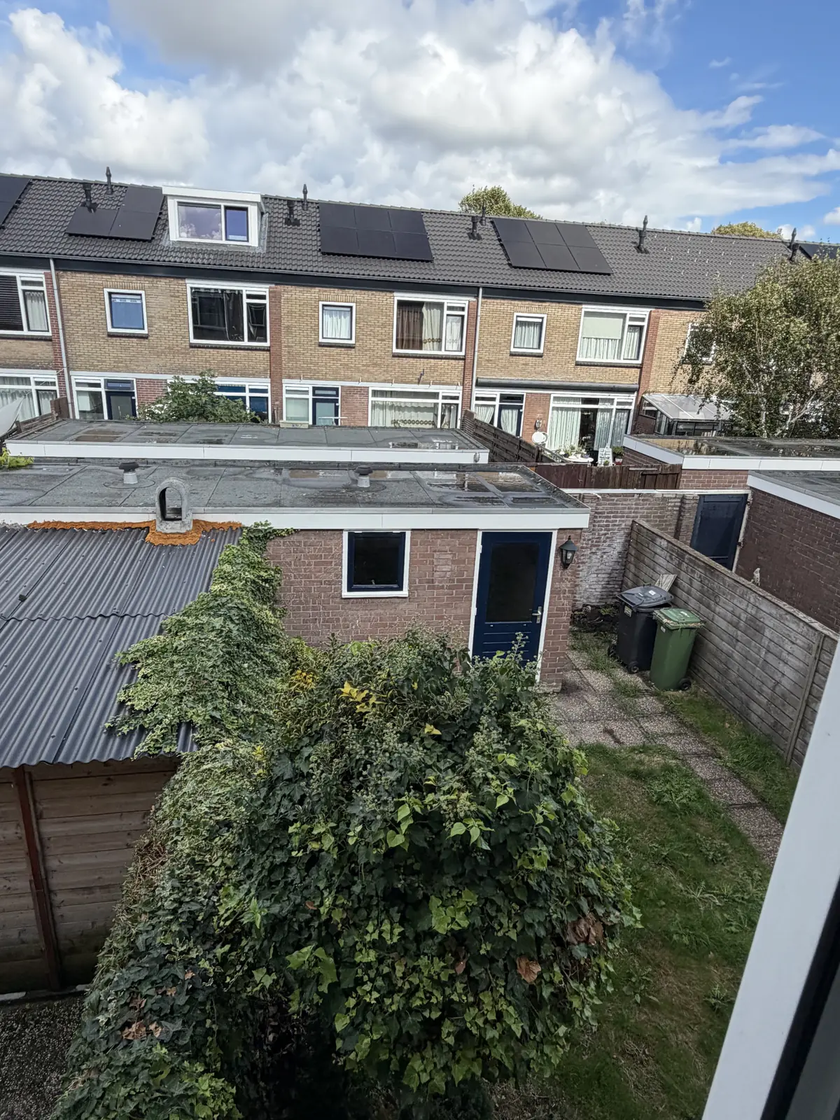 Image 23 of 37