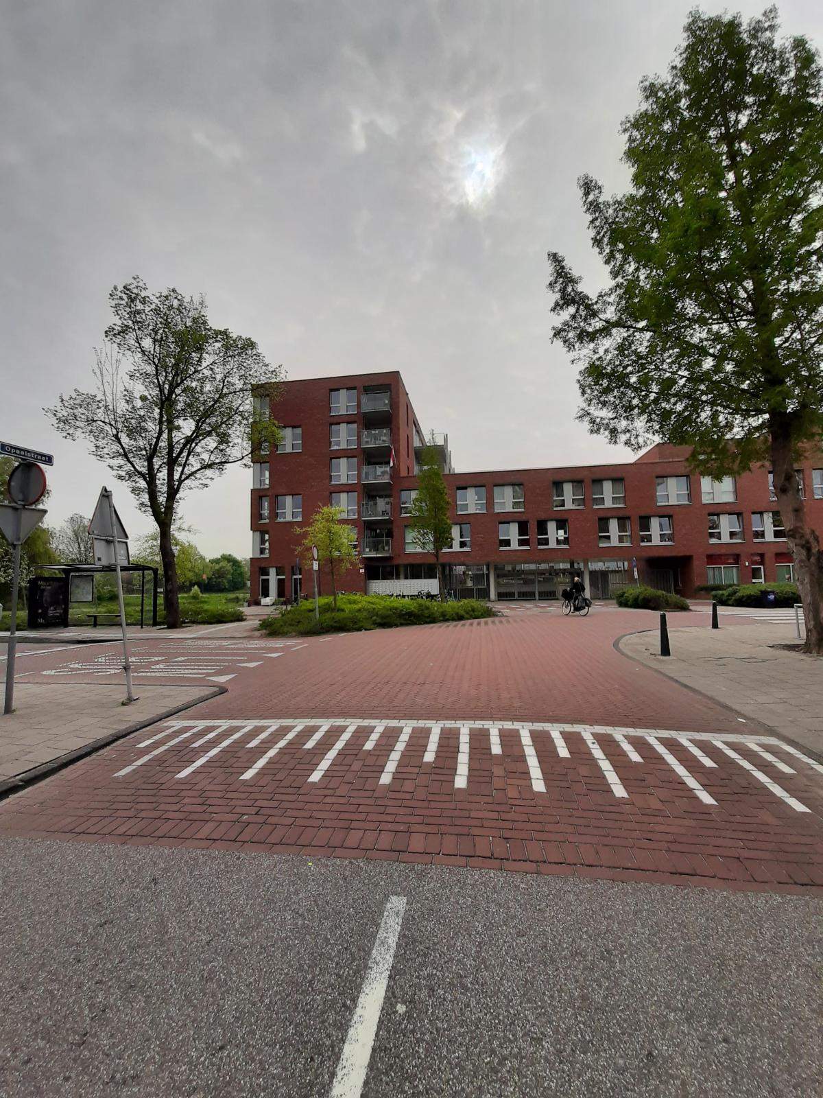 Afbeelding 2 van 33