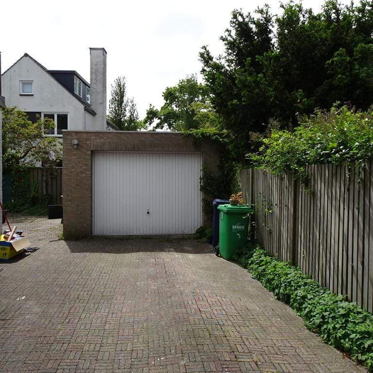 Afbeelding 3 van 12
