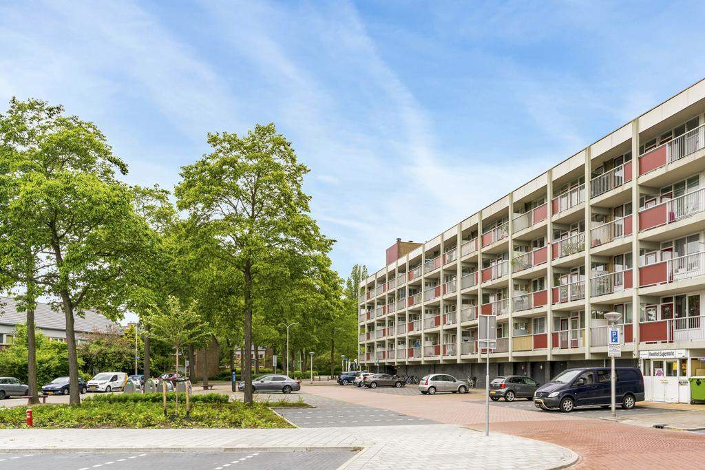 Afbeelding 1 van 12