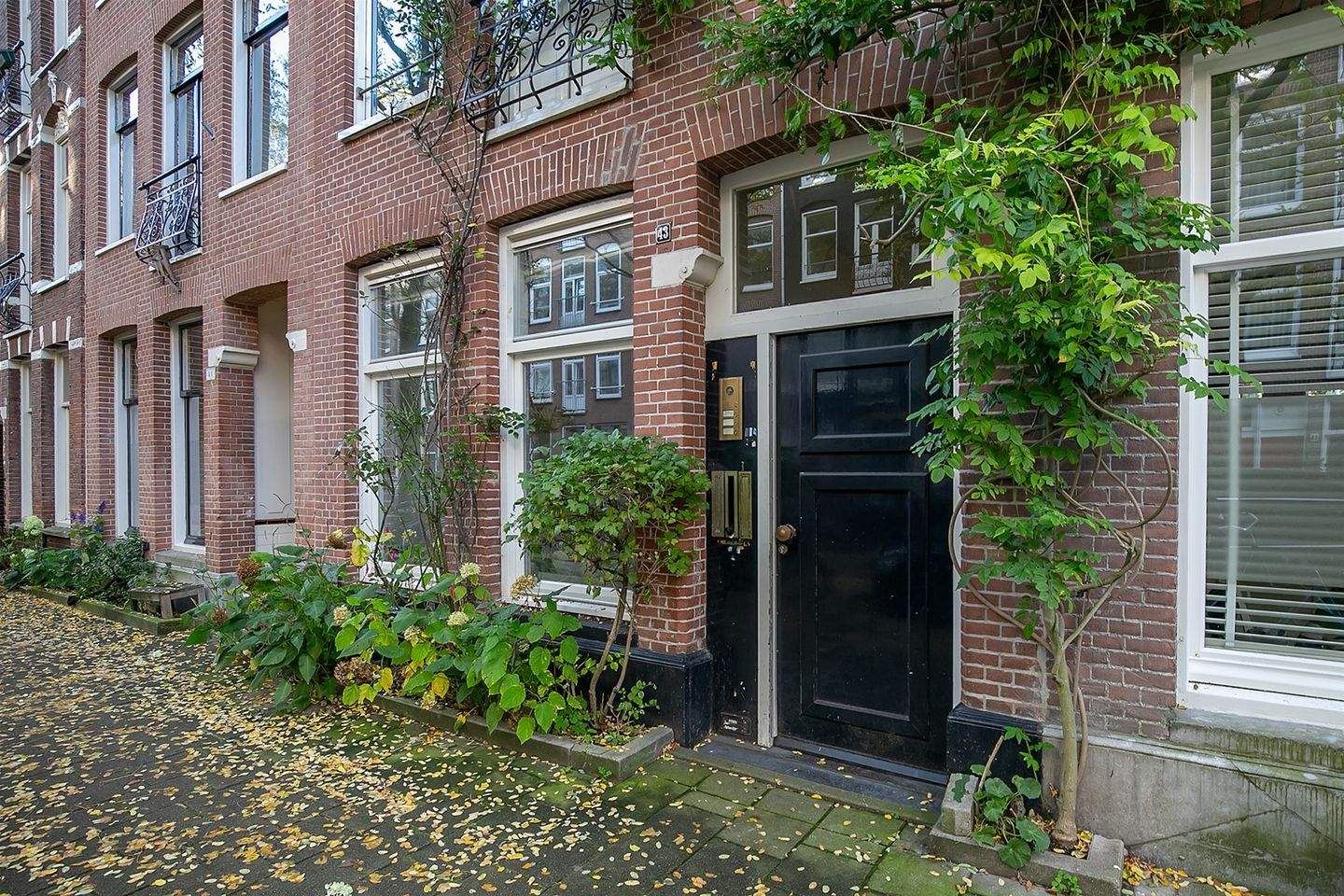 Afbeelding 1 van 12