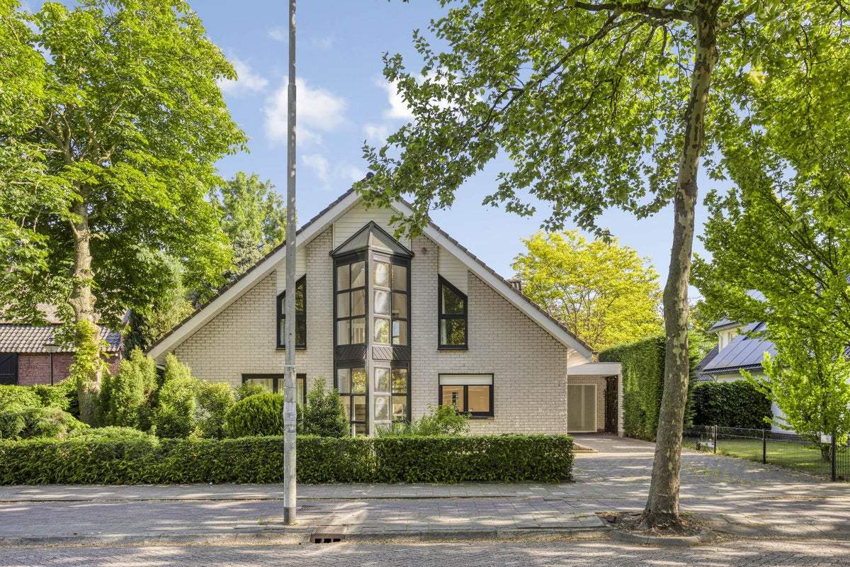 Afbeelding 3 van 65