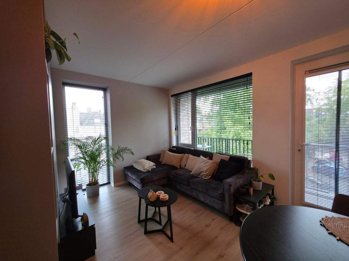 Bild 3 von 11