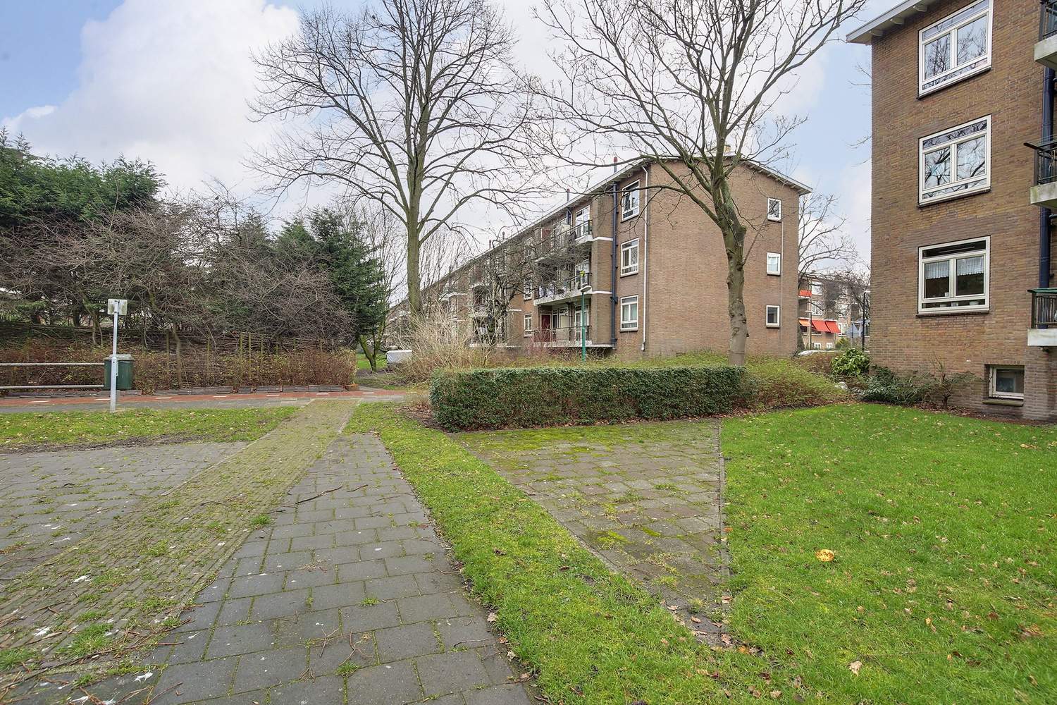 Afbeelding 3 van 6