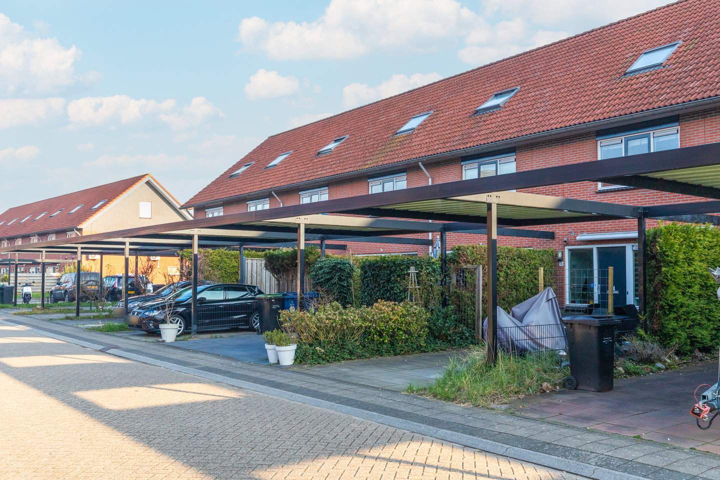 Afbeelding 1 van 12