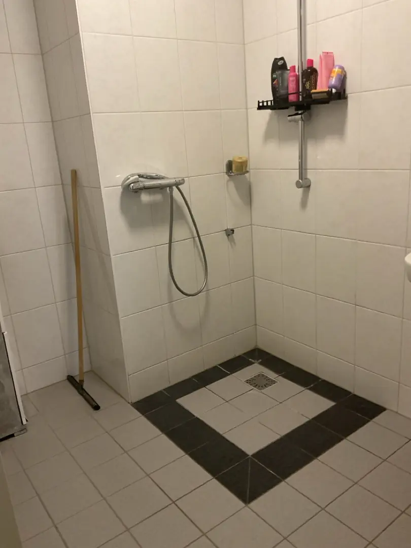 Image 7 of 8