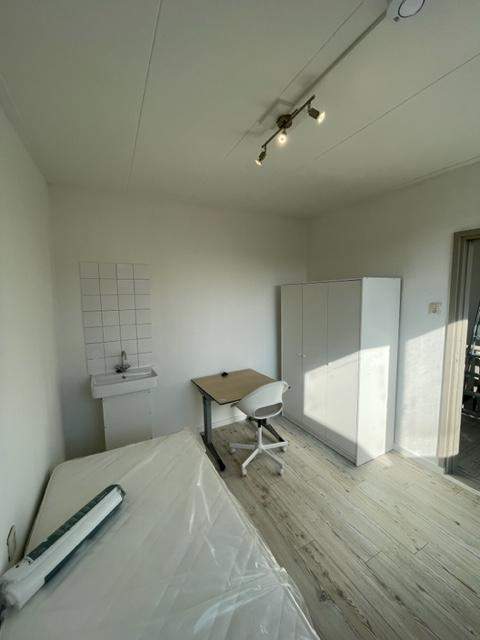 Bild 3 von 8