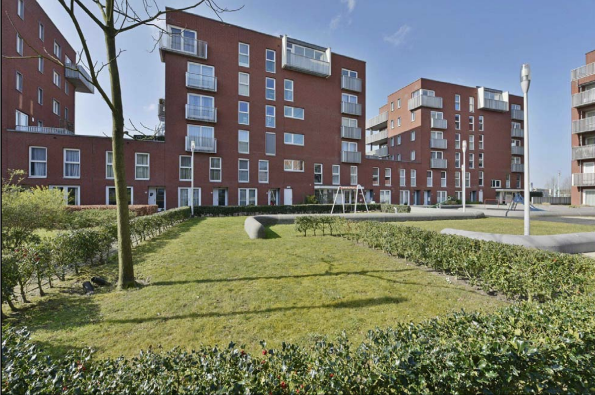 Afbeelding 1 van 12