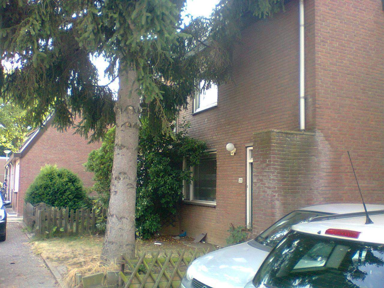 Afbeelding 1 van 9