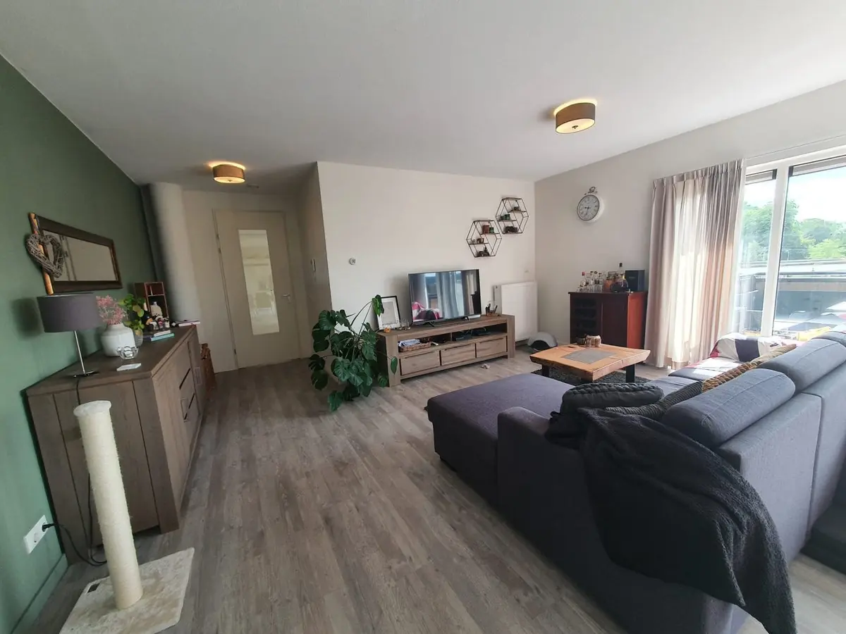 Image 2 of 10