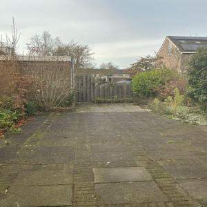 Bild 8 von 11