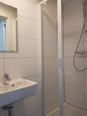 Afbeelding 3 van 40