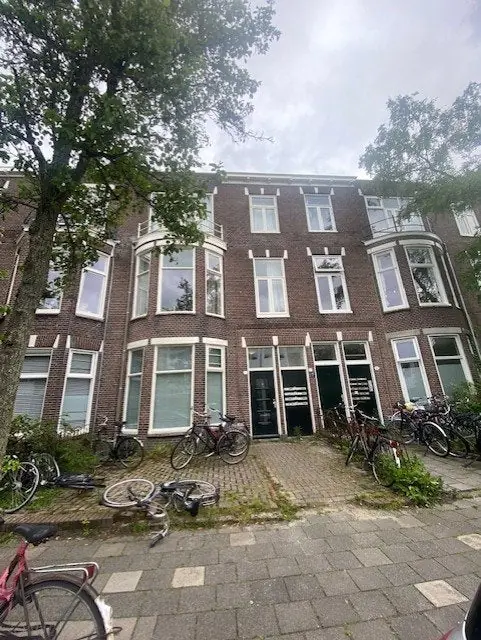 Image 1 of 8
