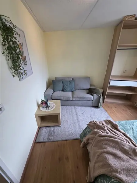 Image 4 of 15