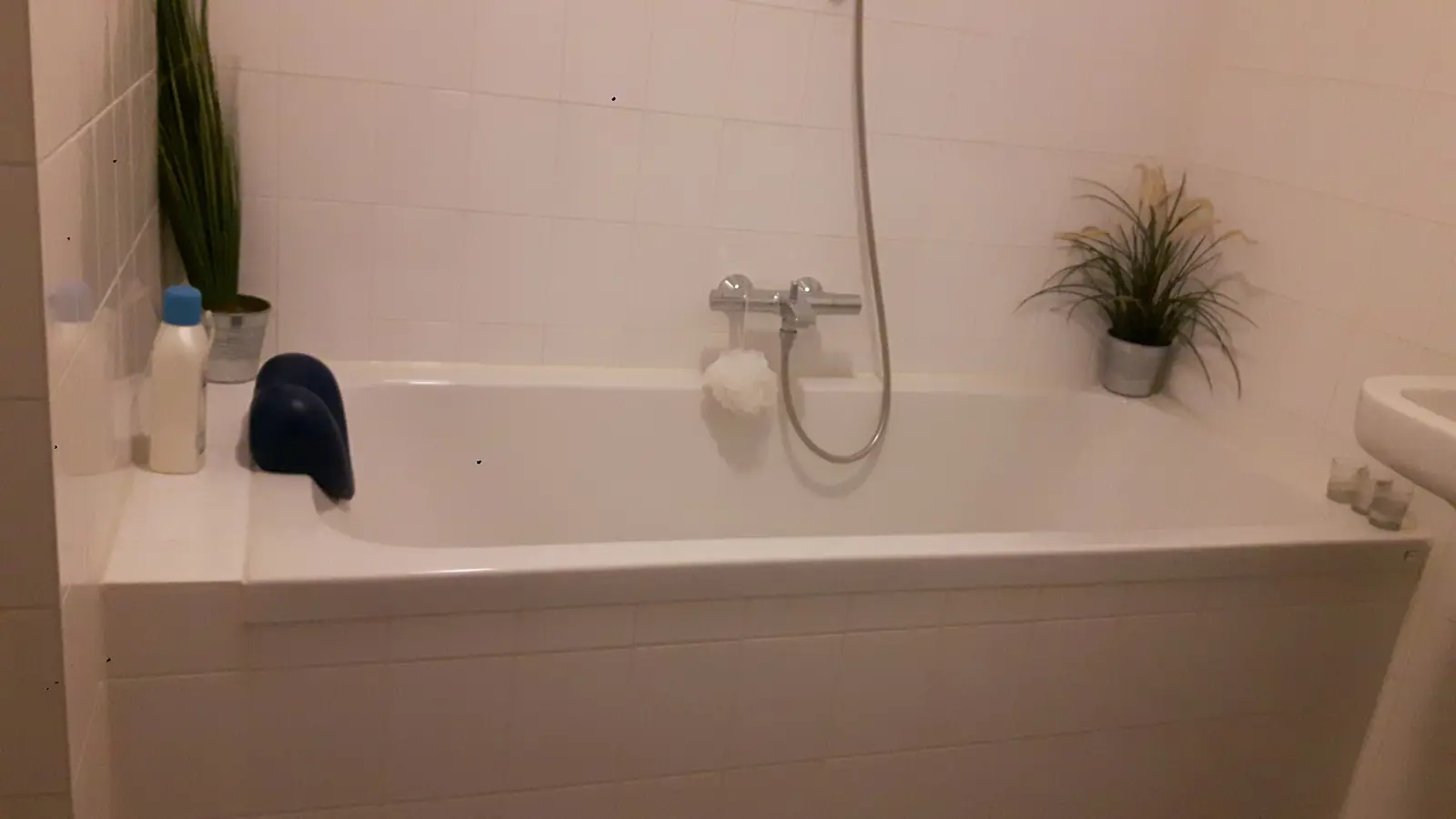 Image 4 sur 5