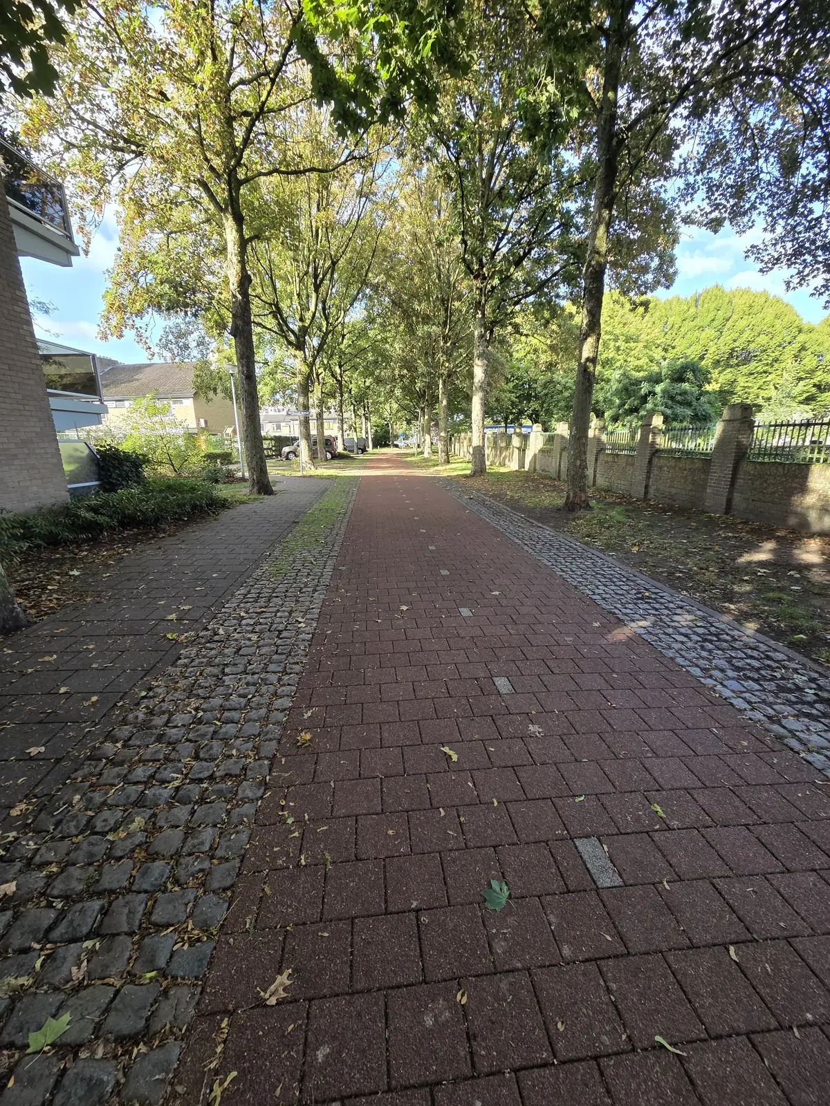 Afbeelding 13 van 15