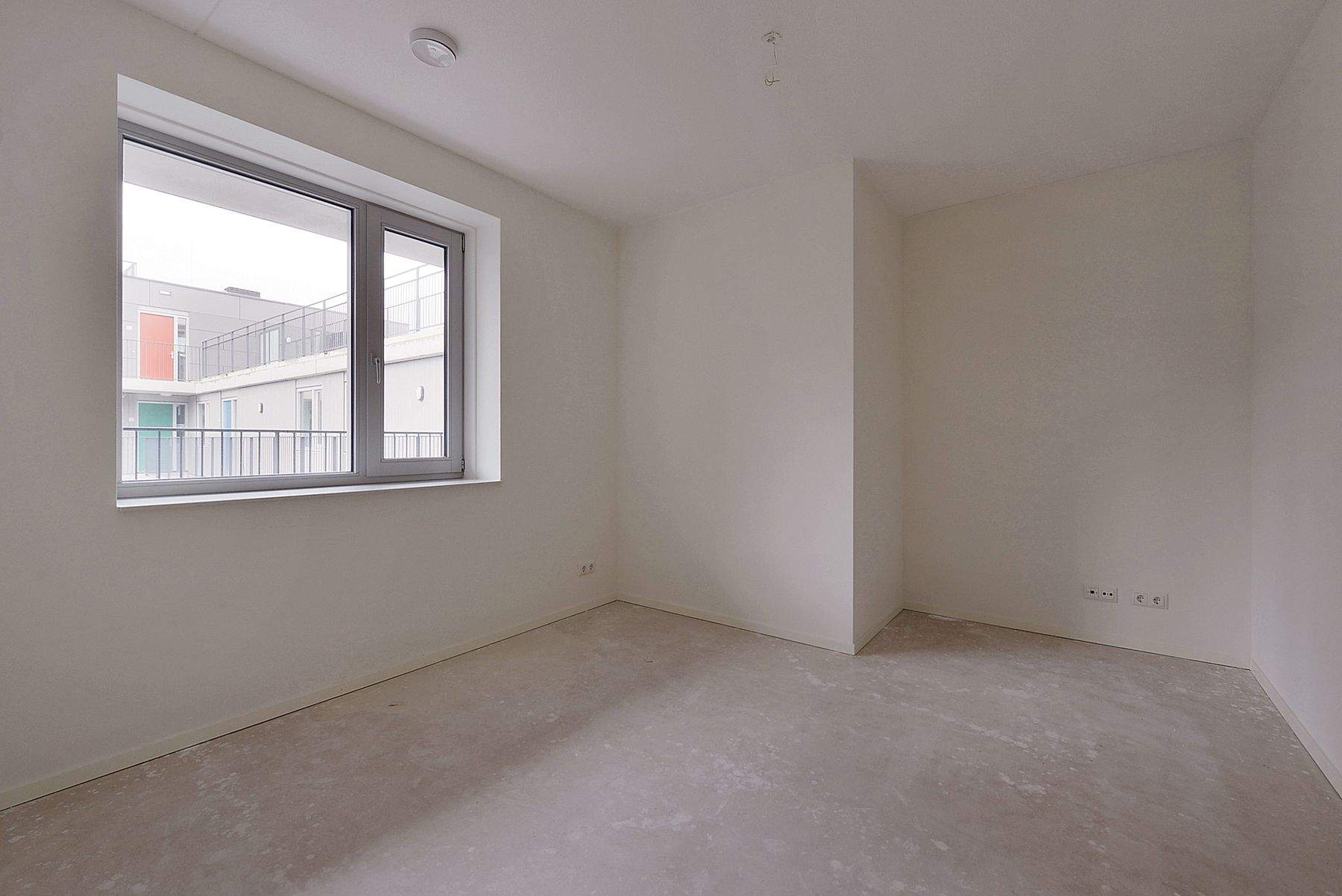 Image 8 of 8