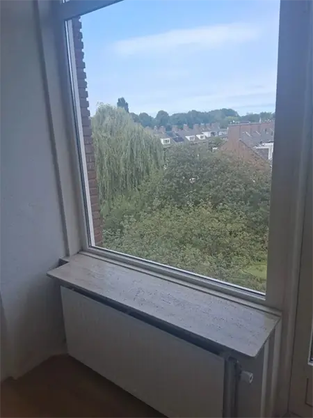 Image 4 of 13