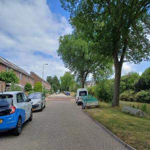 Afbeelding 3 van 4