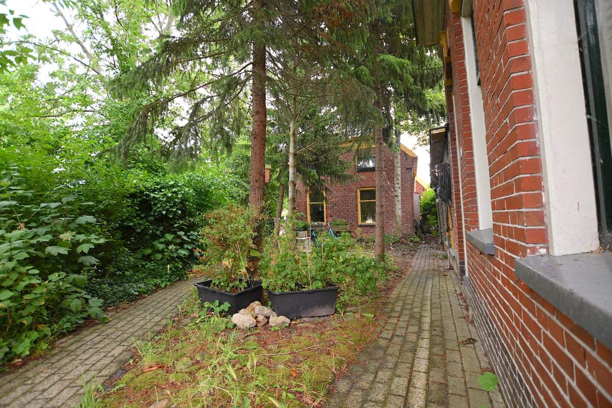 Afbeelding 2 van 22