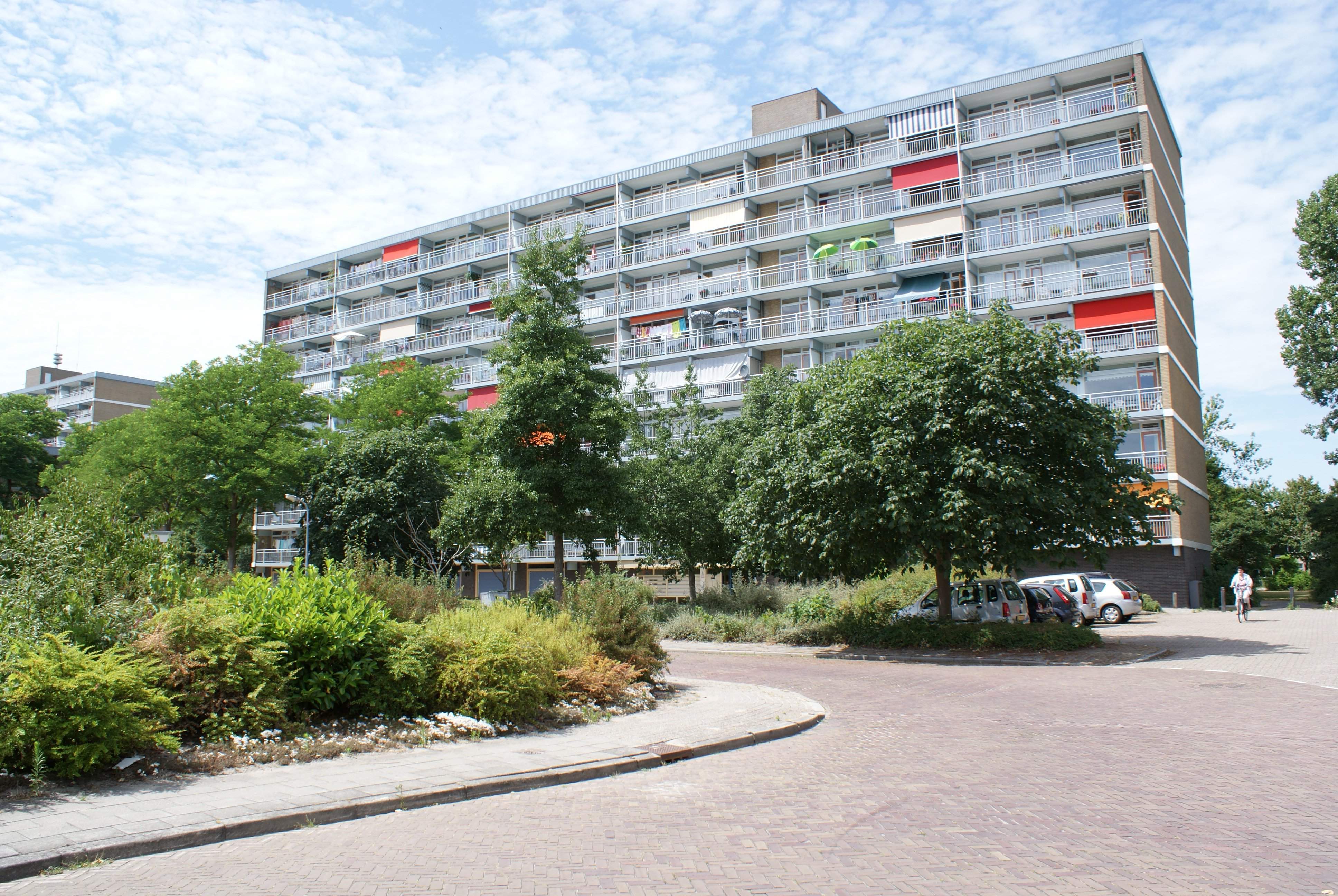 Image 1 sur 3