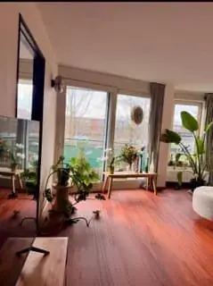 Chambre meublée Praterlaan, Amsterdam - À louer