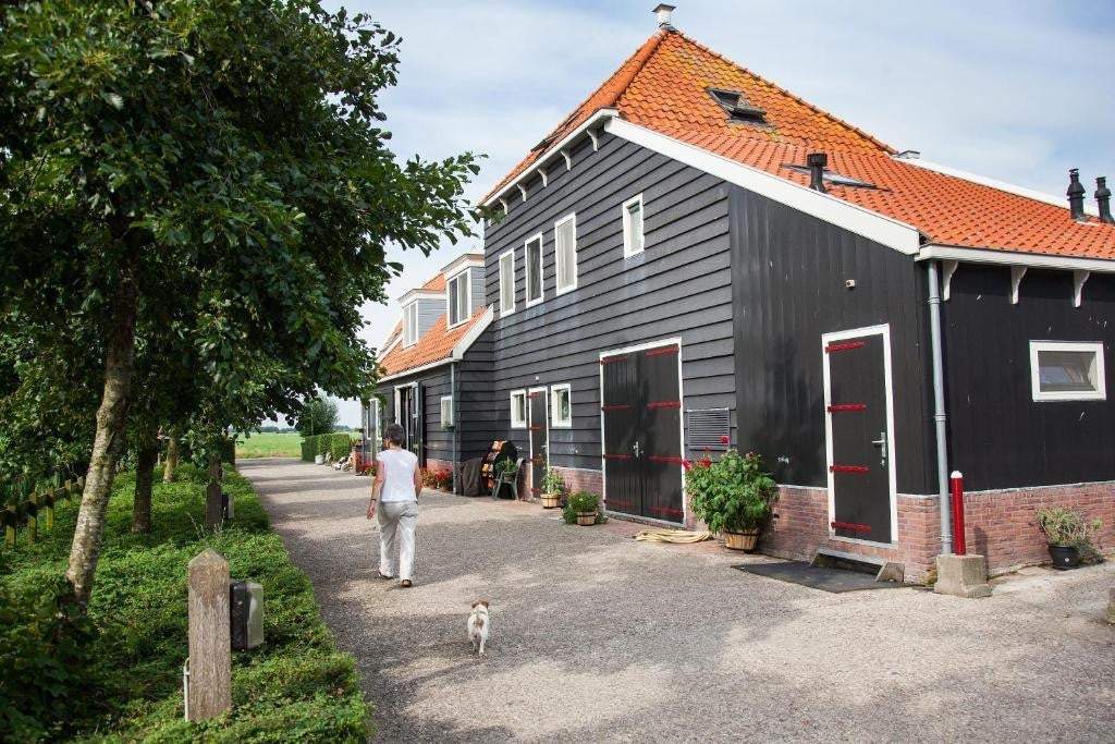 Afbeelding 8 van 12