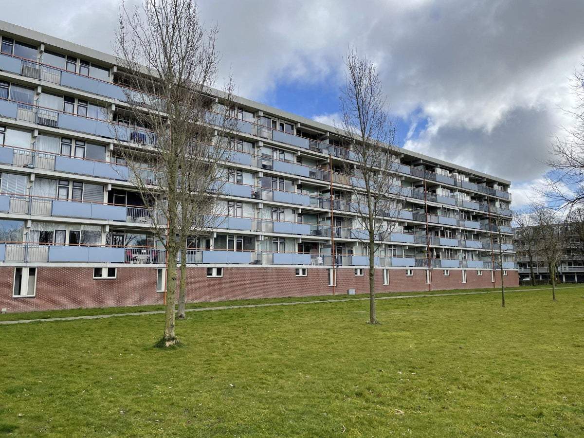 Afbeelding 1 van 35