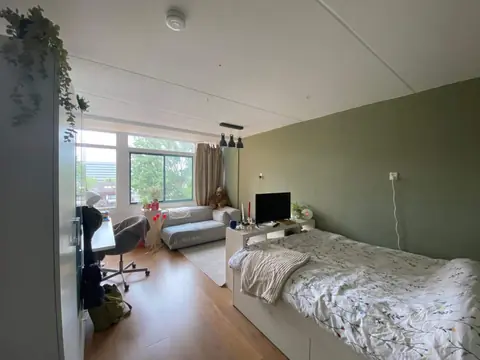 Chambre meublée Van Hasseltlaan, Delft - À louer