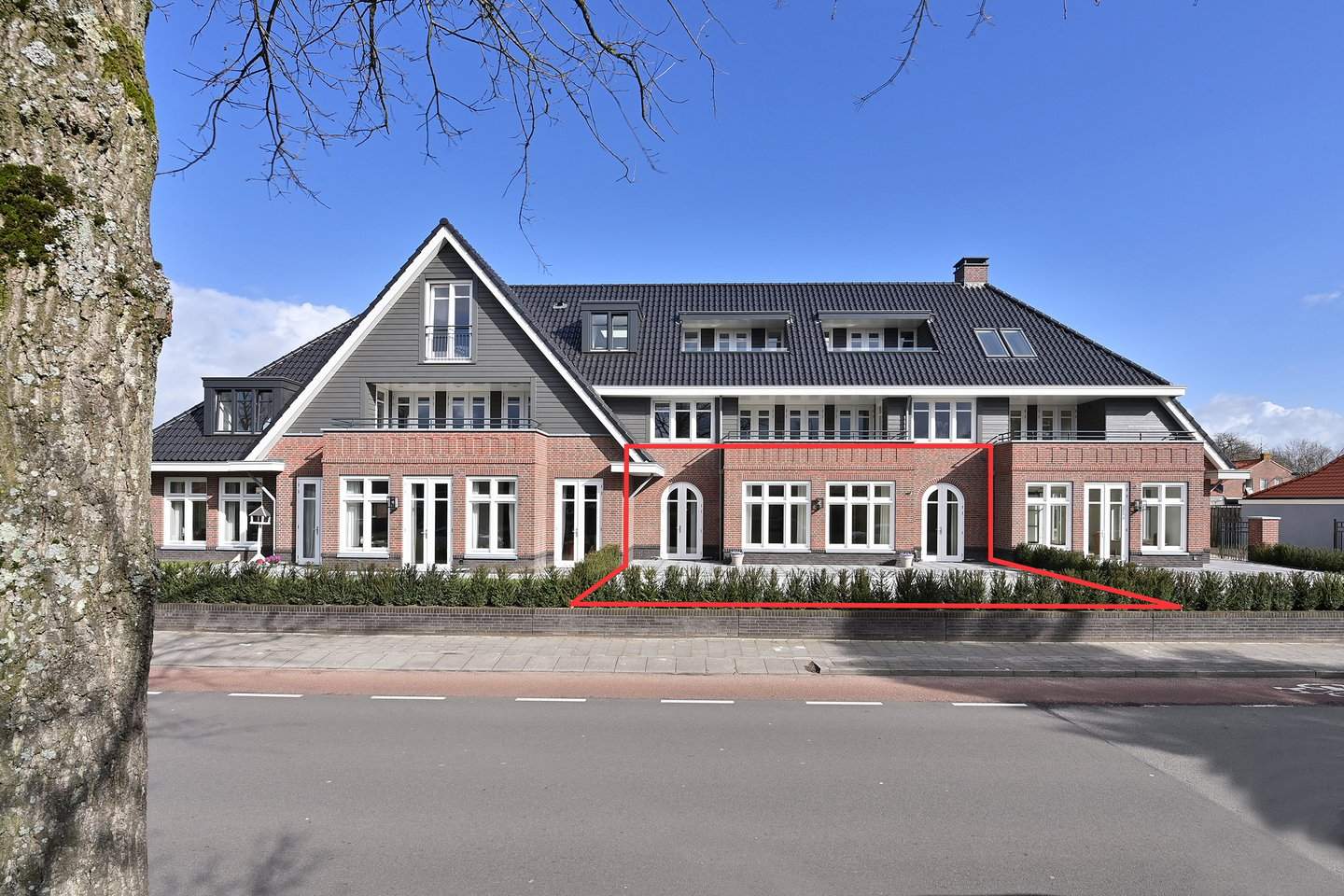Afbeelding 2 van 12