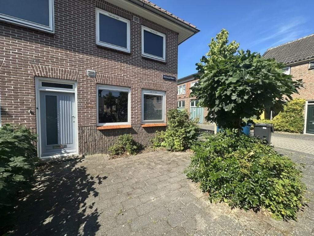 Image 12 of 12