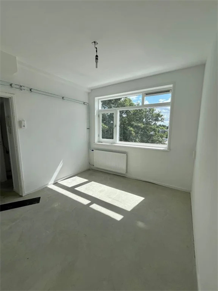 Image 4 of 11