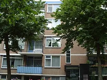 Afbeelding 3 van 5