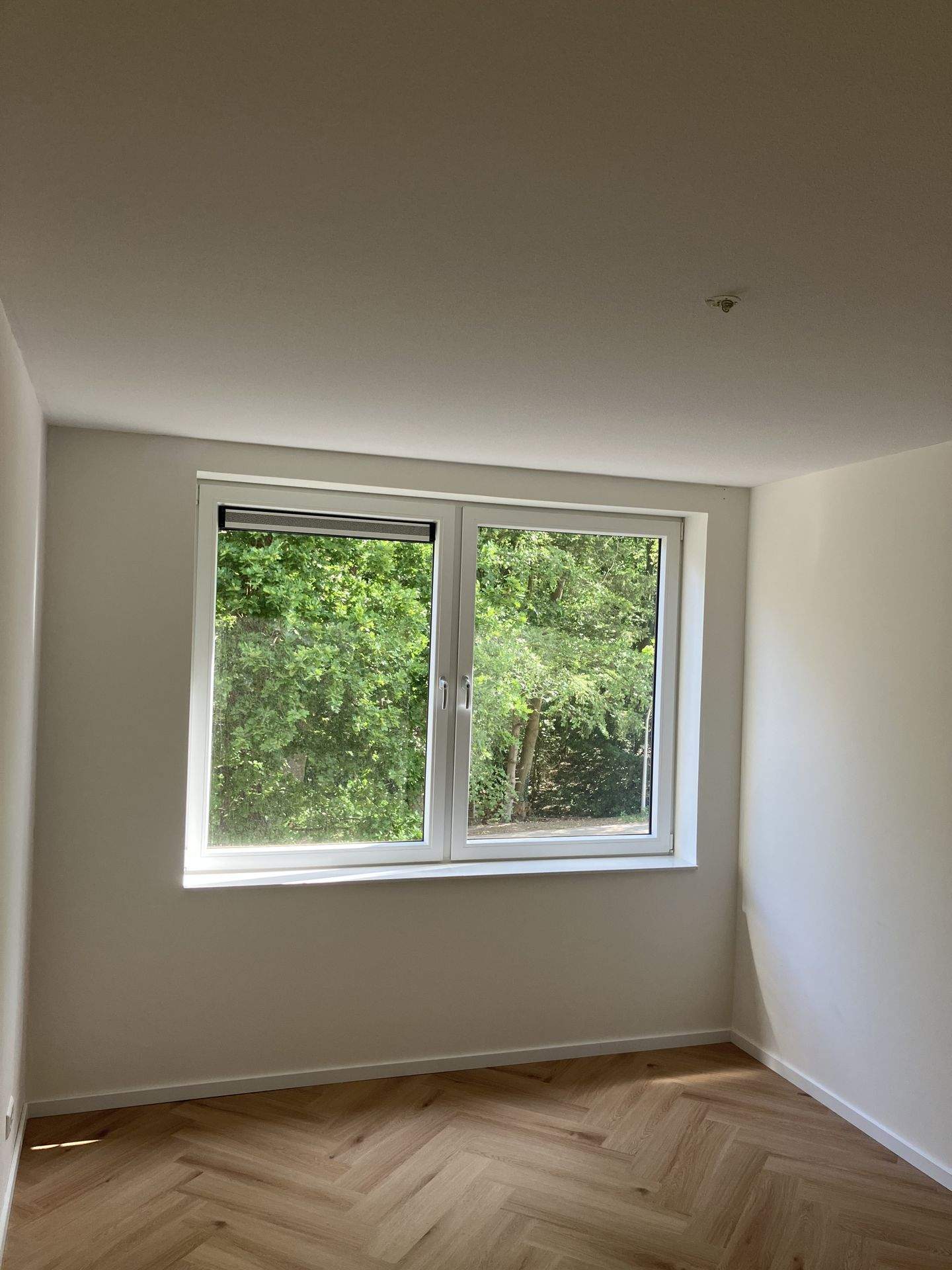 Image 10 of 12