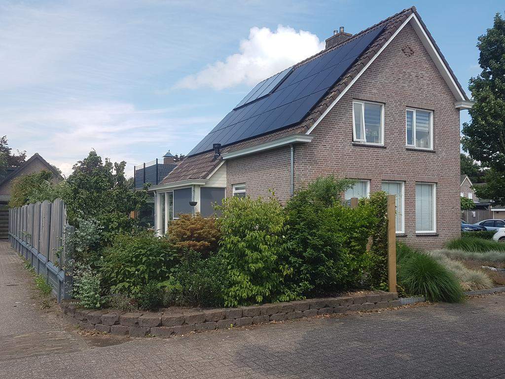 Afbeelding 1 van 12