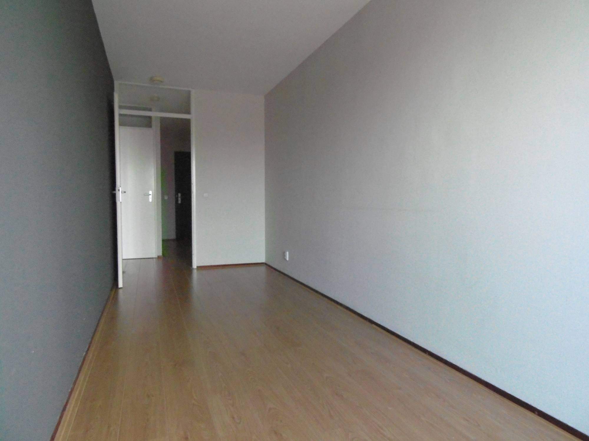Bild 12 von 17