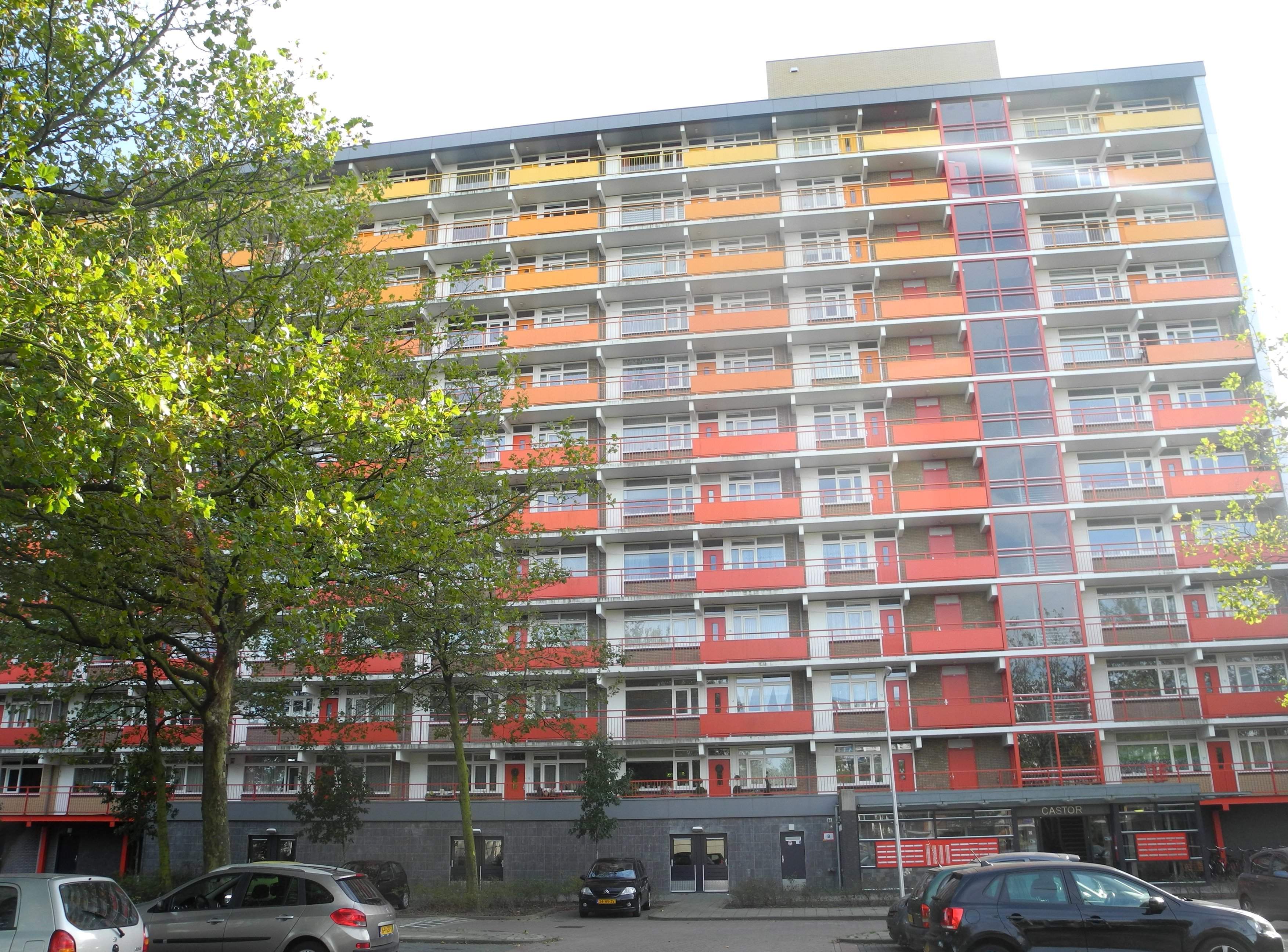 Image 1 sur 4