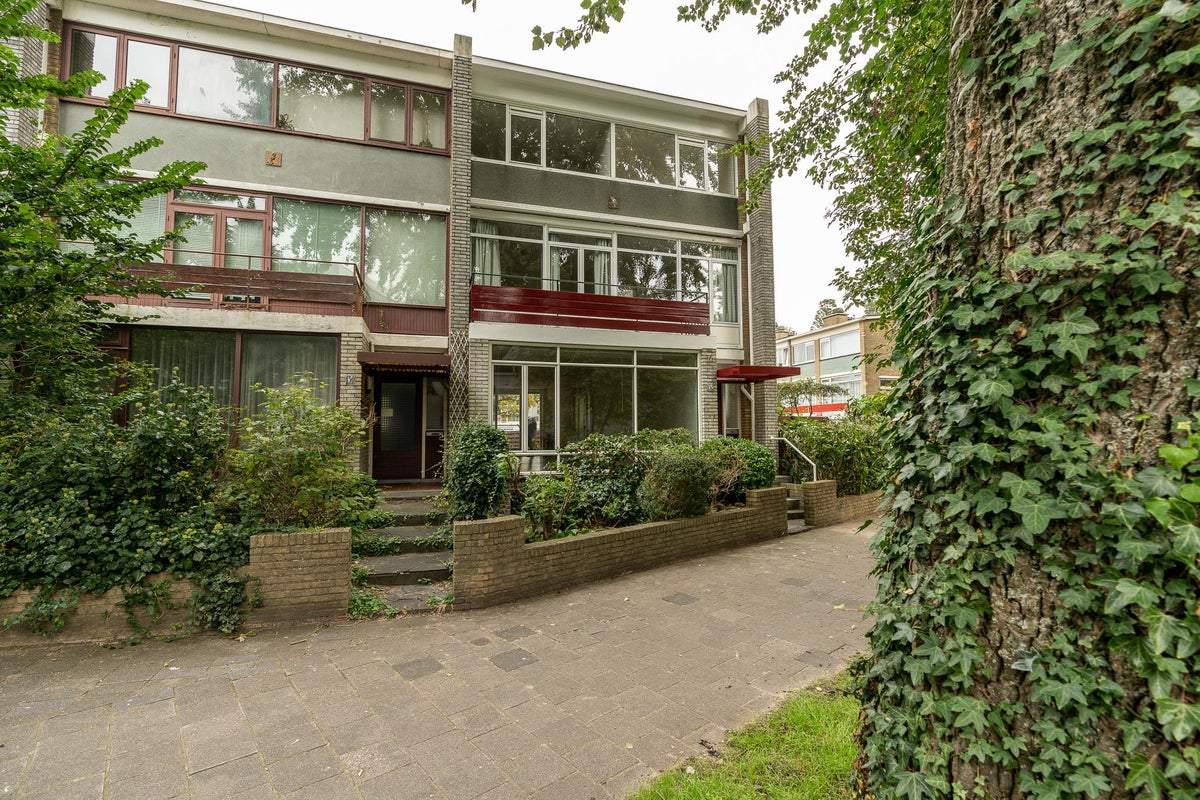 Afbeelding 1 van 100