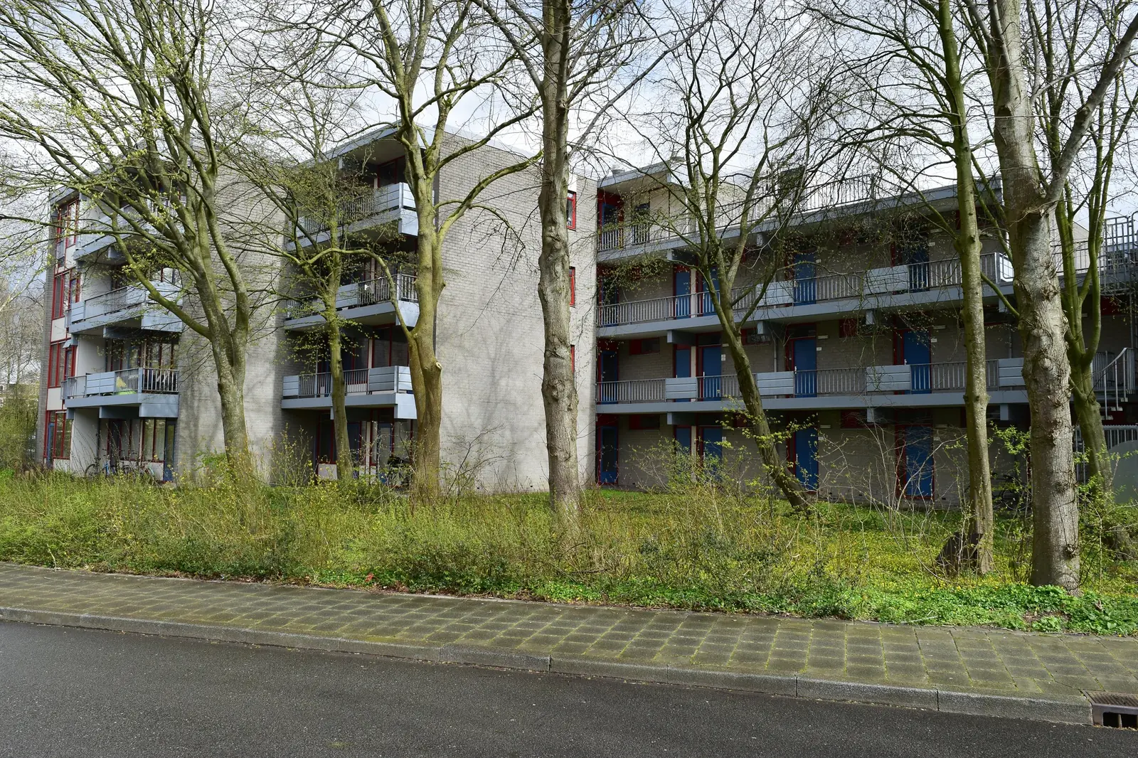 Image 6 of 6