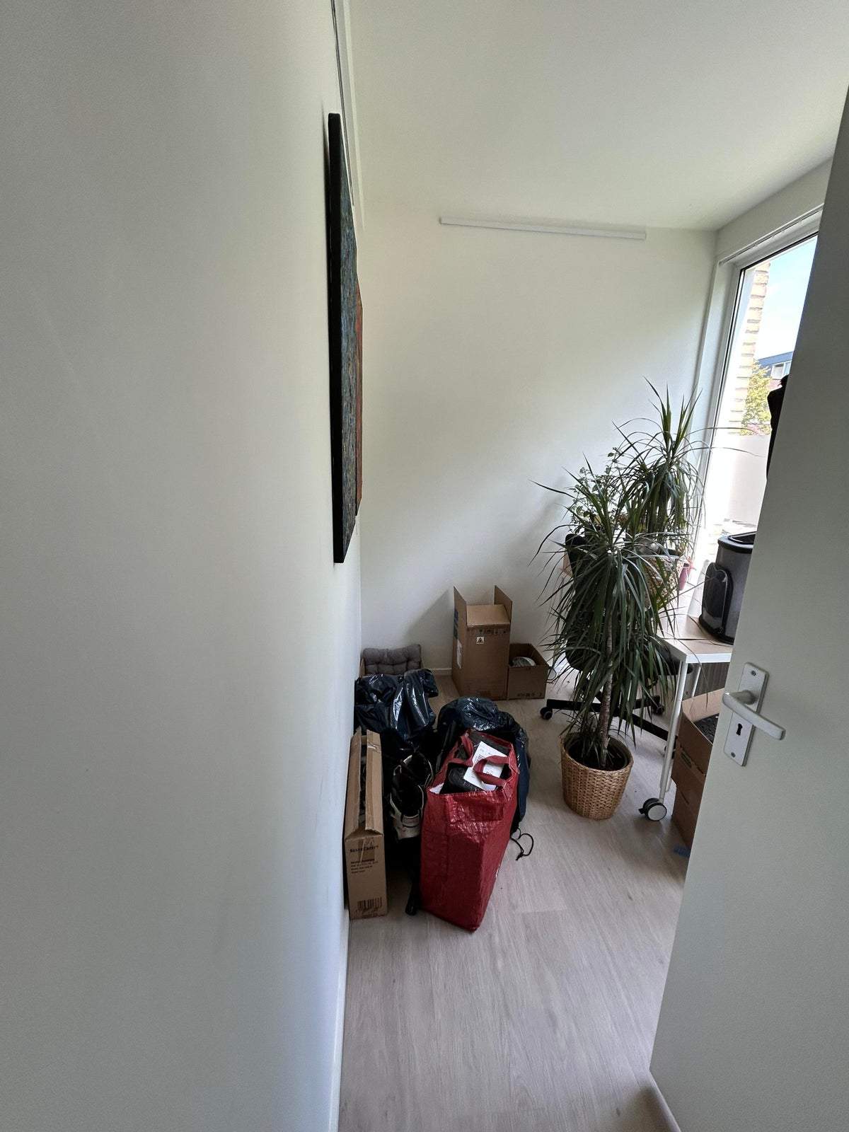 Image 3 of 9