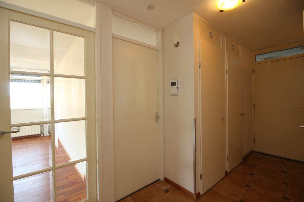 Image 7 of 29