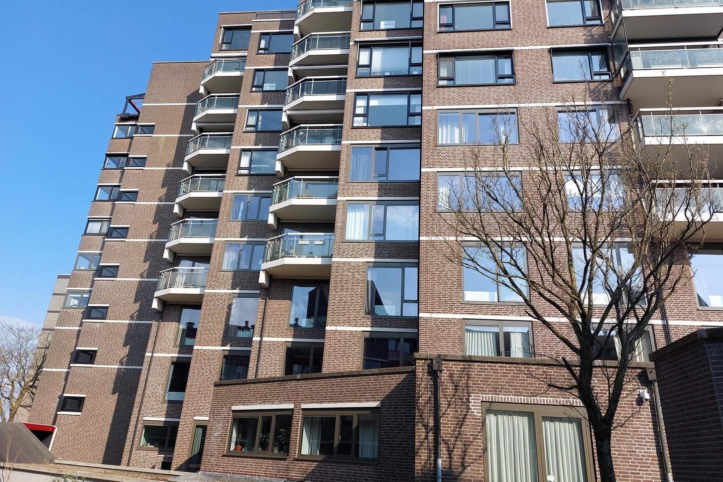 Afbeelding 2 van 12
