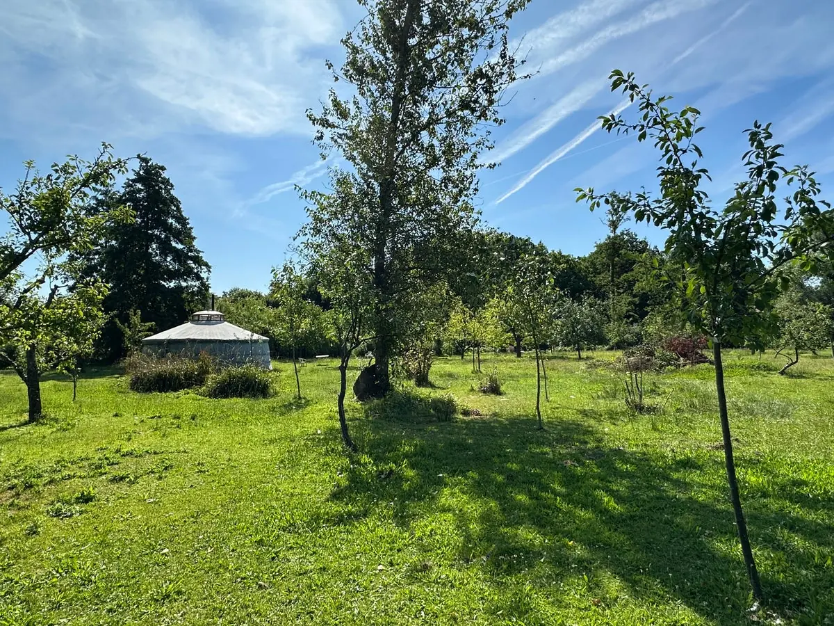 Bild 2 von 33